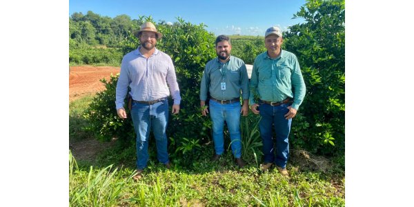 Lorem ipsum dolor sit amet