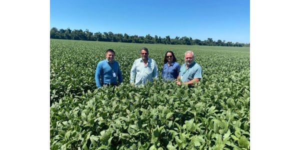 Lorem ipsum dolor sit amet