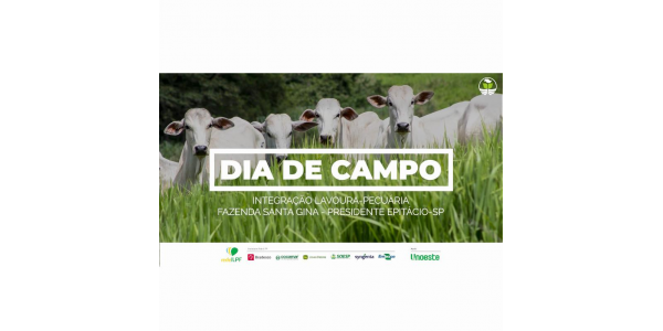 Lorem ipsum dolor sit amet