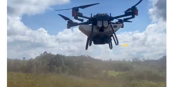 Lorem ipsum dolor sit amet