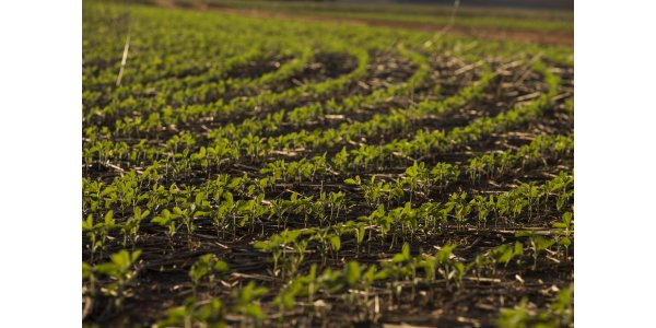 Lorem ipsum dolor sit amet