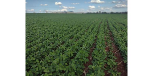 Lorem ipsum dolor sit amet