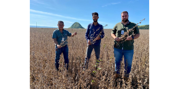 Lorem ipsum dolor sit amet