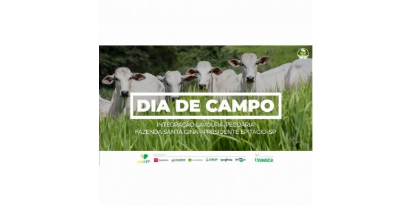 Lorem ipsum dolor sit amet