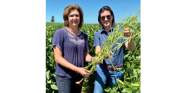 Lorem ipsum dolor sit amet