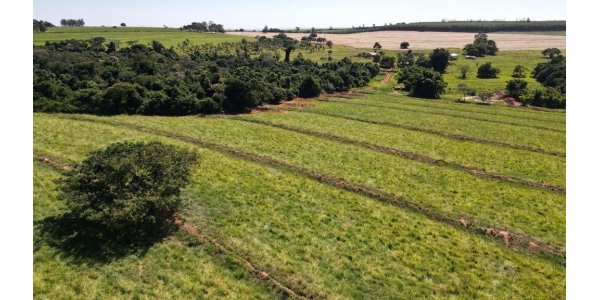 Quem não regularizar a sua questão ambiental até a safra 2025/26, terá que deixar de produzir