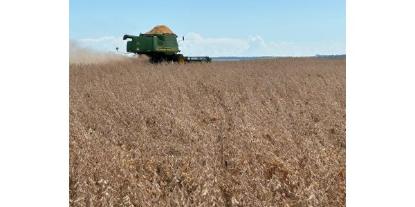 Lorem ipsum dolor sit amet