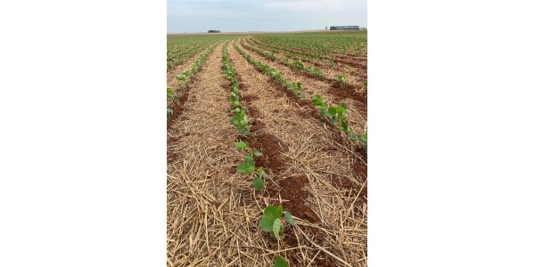 Lorem ipsum dolor sit amet