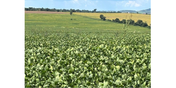 Lorem ipsum dolor sit amet