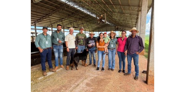 Pequena propriedade  em Pitangueiras (PR) &eacute; refer&ecirc;ncia  em produ&ccedil;&atilde;o de soja e leite