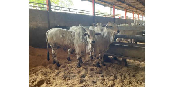 Lorem ipsum dolor sit amet