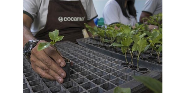 Lorem ipsum dolor sit amet