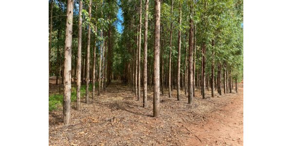 Lorem ipsum dolor sit amet