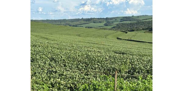 Lorem ipsum dolor sit amet