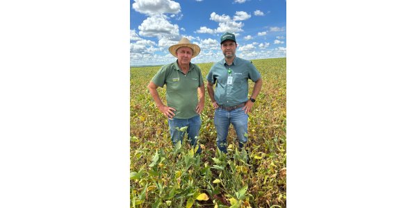 Manejo adequado do solo faz a diferen&ccedil;a em ano de clima complicado 