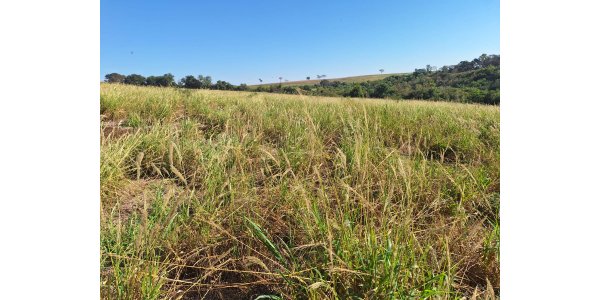 Lorem ipsum dolor sit amet