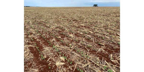 Lorem ipsum dolor sit amet