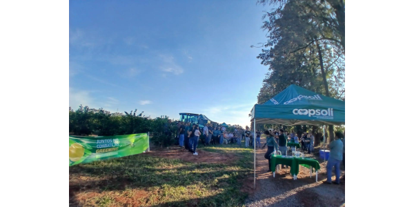 Lorem ipsum dolor sit amet