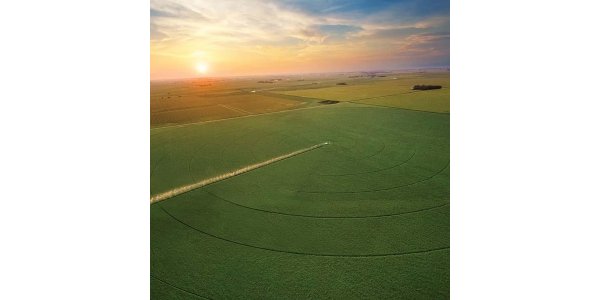 Lorem ipsum dolor sit amet