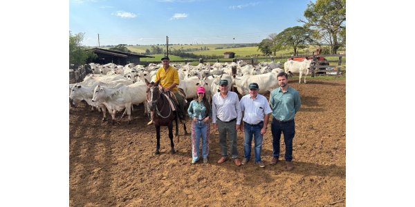 Lorem ipsum dolor sit amet