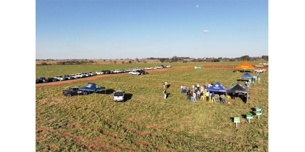 Lorem ipsum dolor sit amet