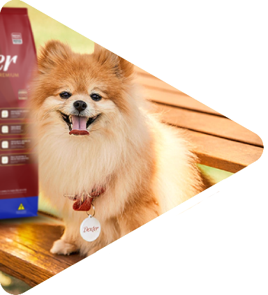 Rações para Pets