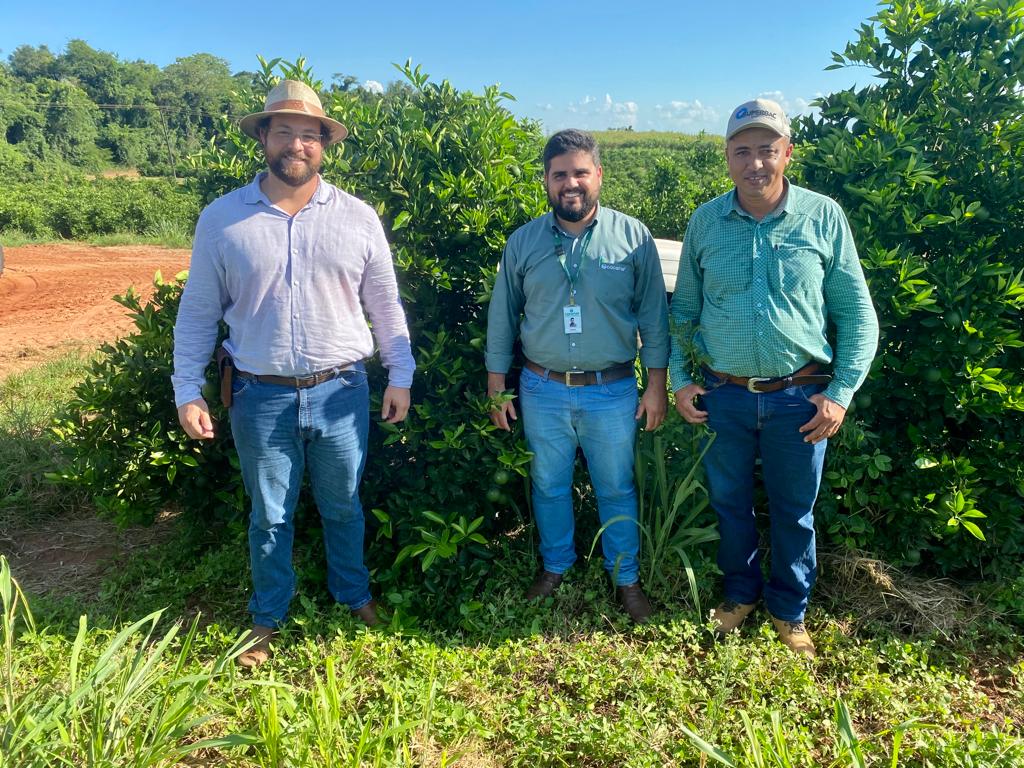 Os Lorenzetti diversificam para se fortalecer no arenito