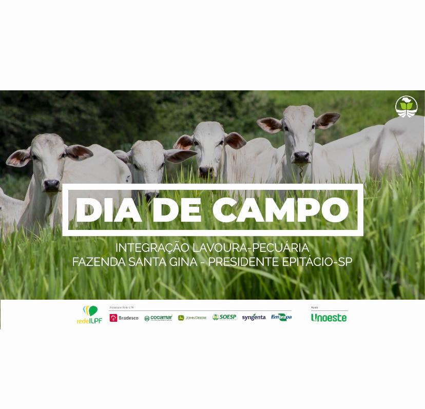 Fazenda em Pres. Epitácio  sedia evento sobre ILPF