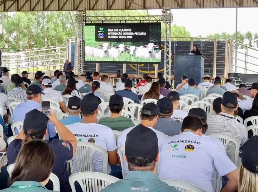 Dia de Campo sobre ILPF em Presidente Epitácio (SP)