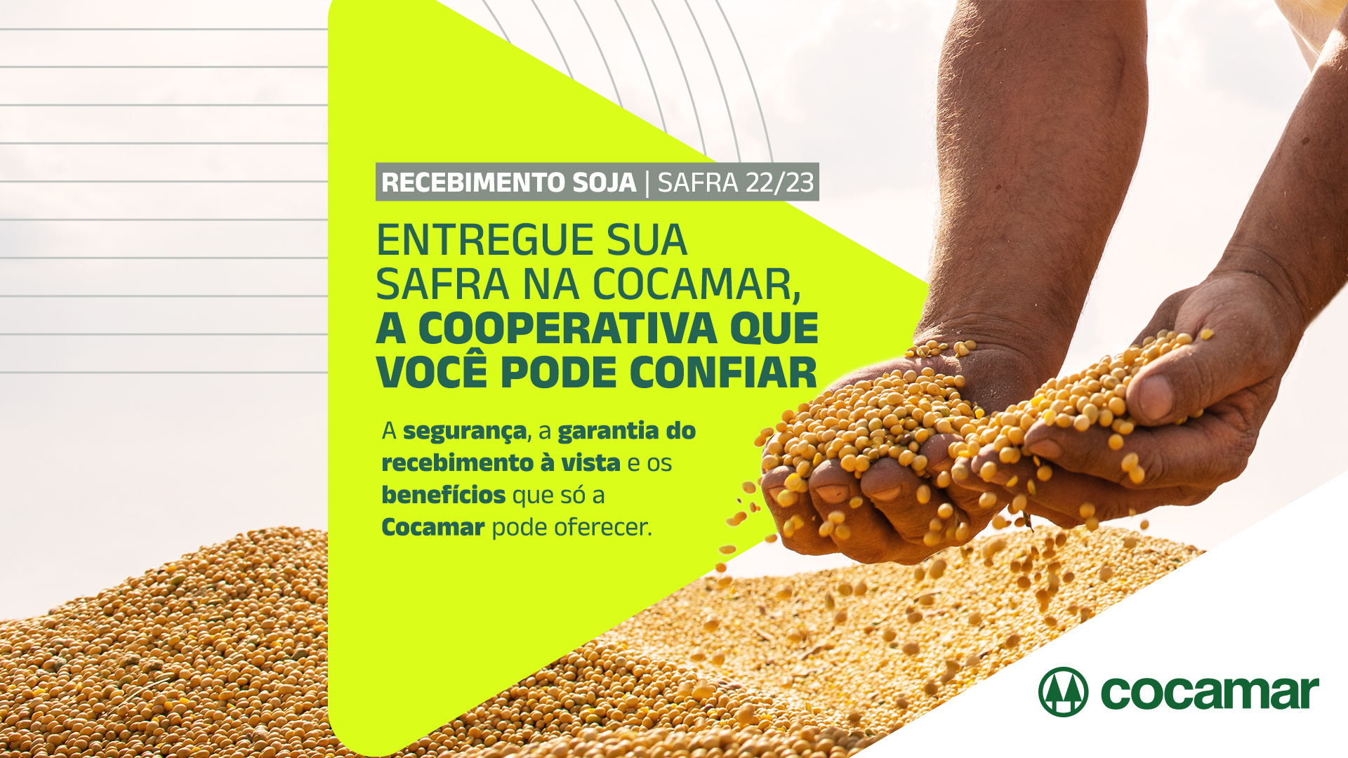 Cocamar estima receber mais de 2 milhões de toneladas de soja