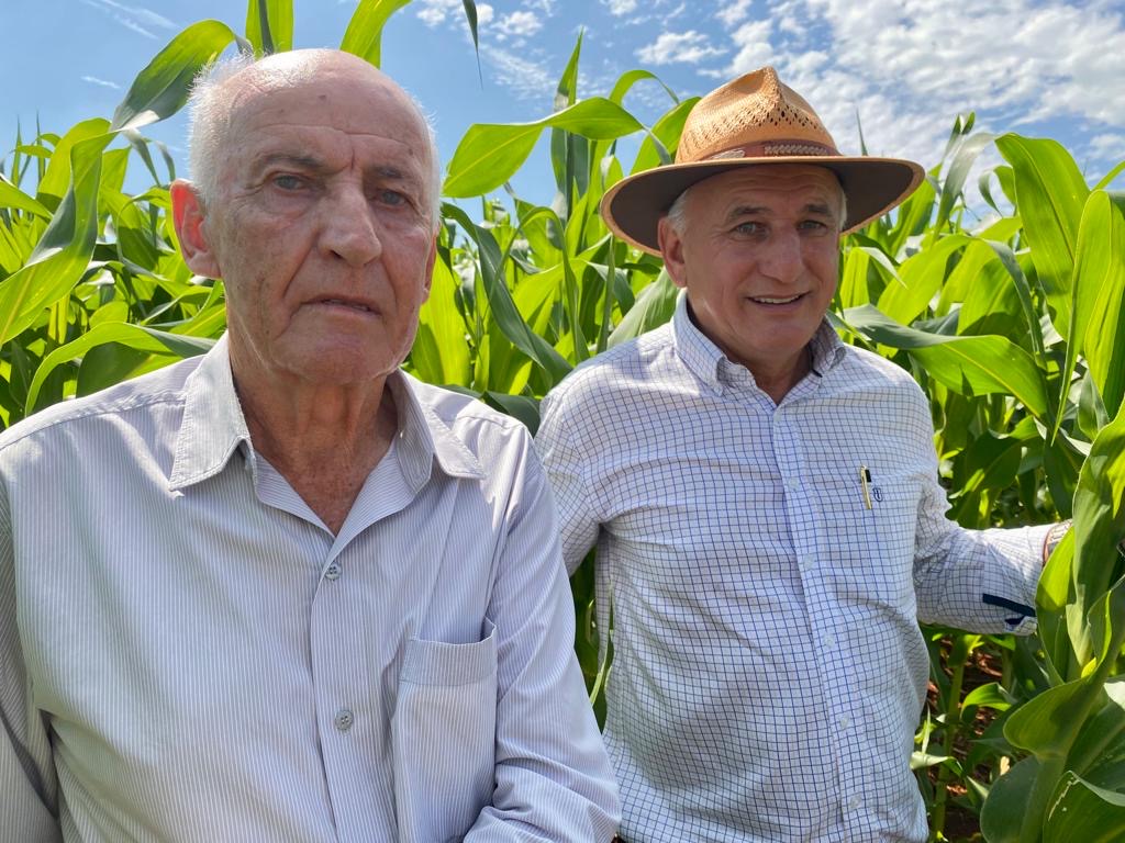 Floresta é o berço do plantio de milho de inverno no país