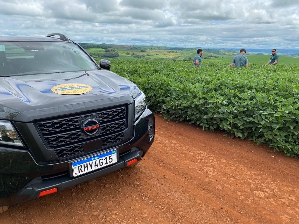 Um ano para expressar o potencial produtivo da lavoura