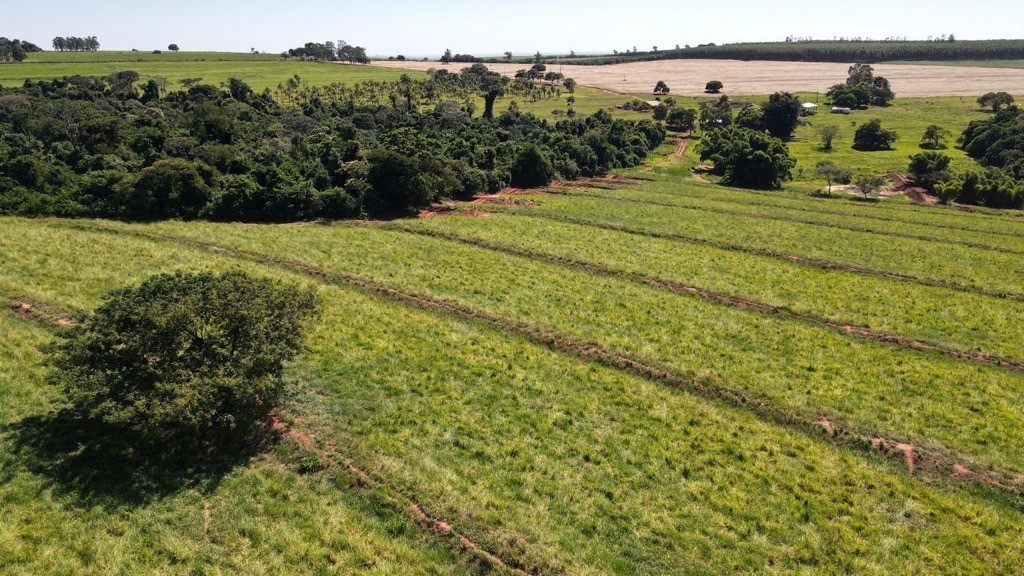 Quem não regularizar a sua questão ambiental até a safra 2025/26, terá que deixar de produzir