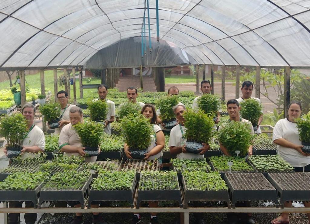 Programa Cultivar completa 17 anos