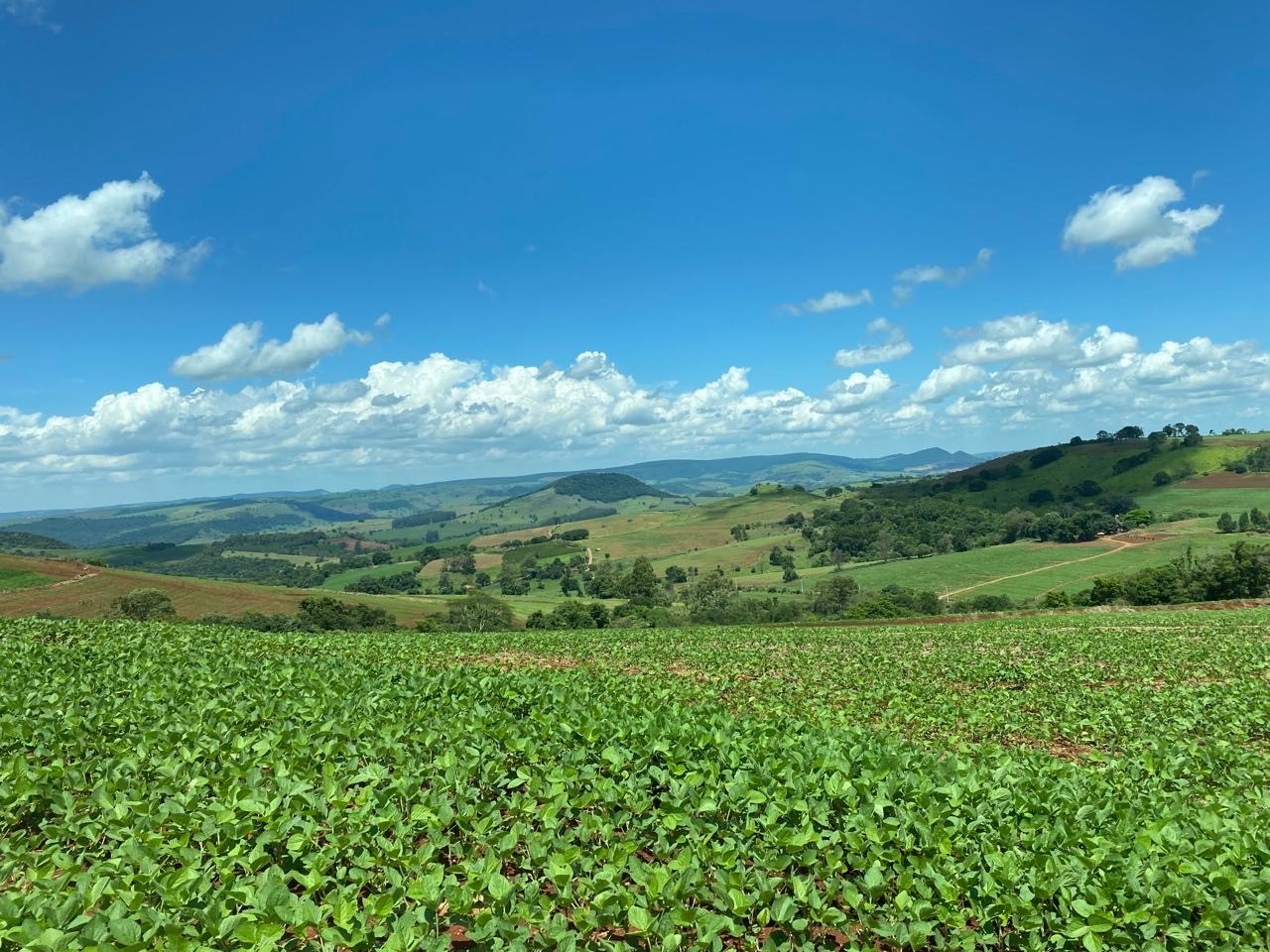 É preciso avançar em tecnologia, mas sem descuidar do principal, o solo