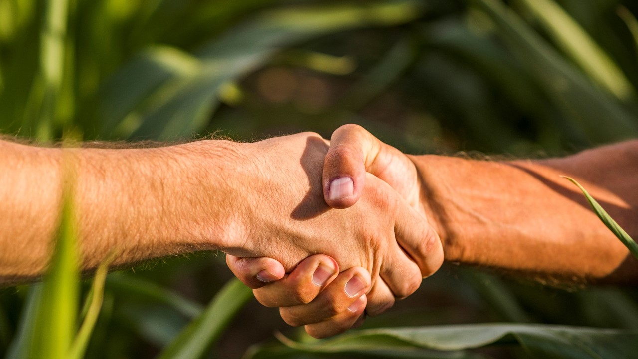Produtores podem renegociar dívidas de crédito rural para investimentos