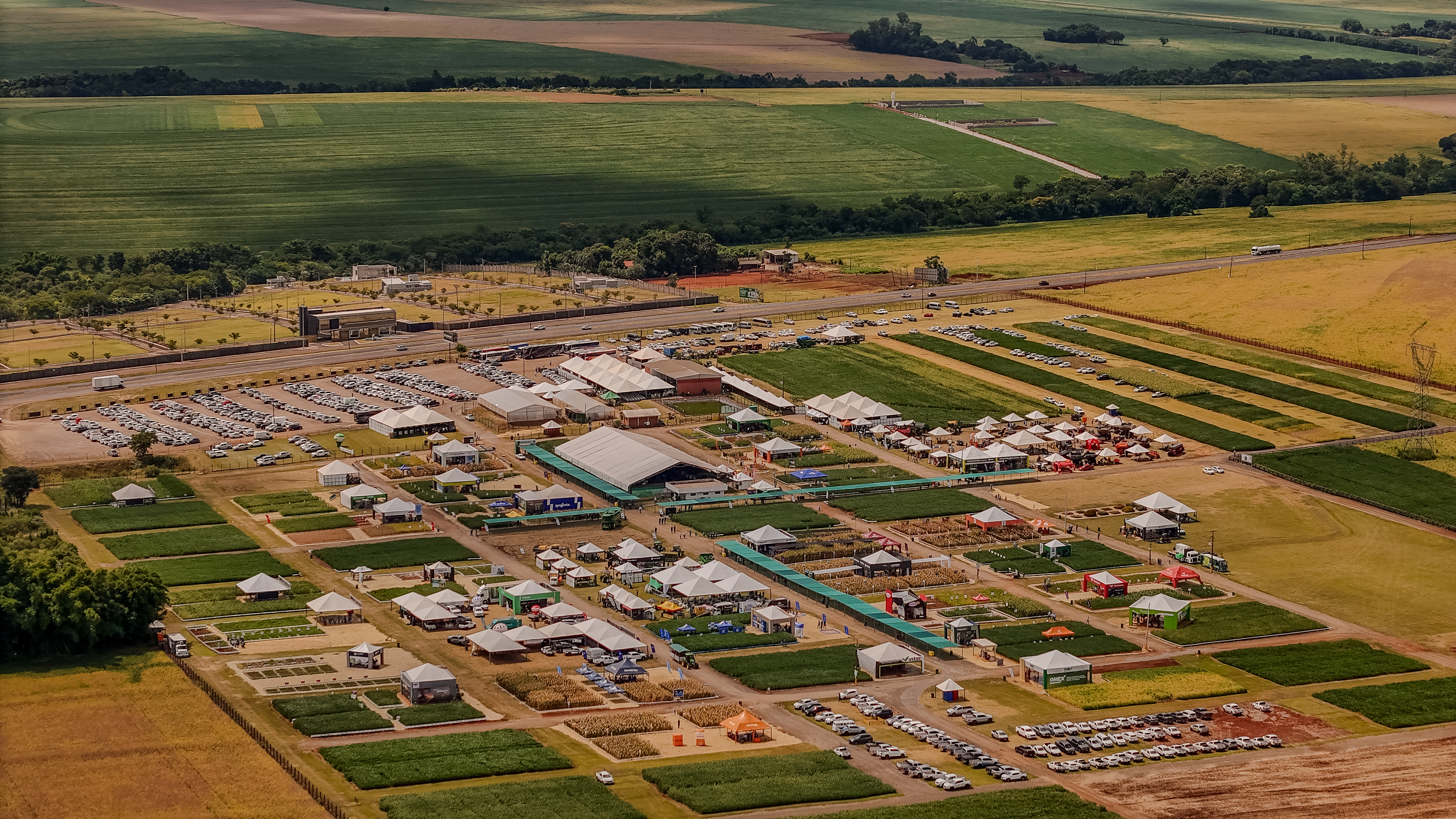 Safratec compensa emiss&otilde;es de CO2 com plantio de &aacute;rvores