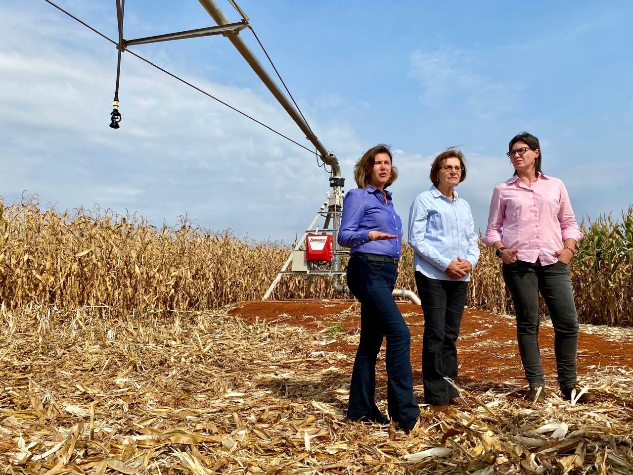 Irrigação mostra seu diferencial em propriedade na região de Maringá