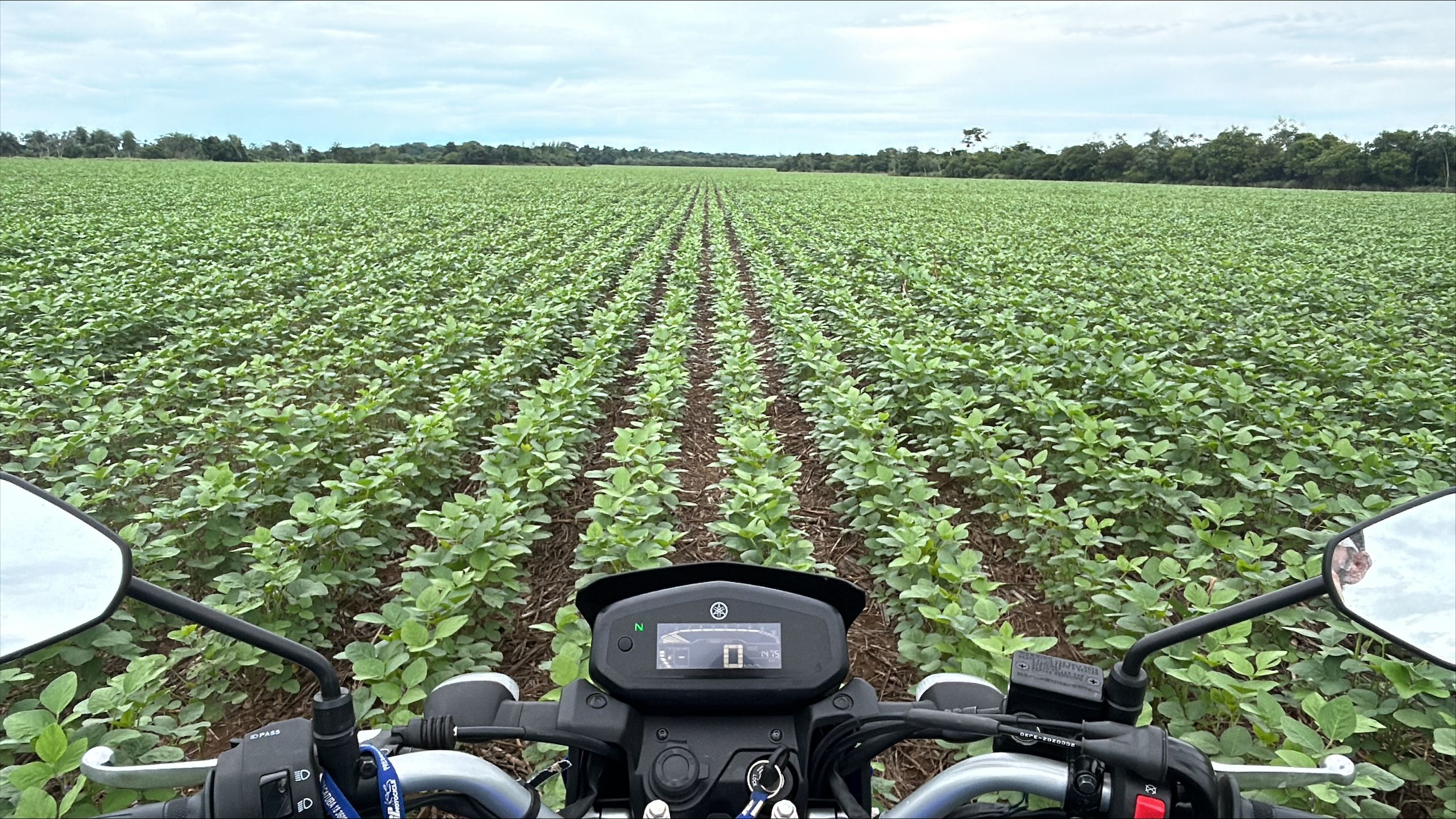 Solo protegido contém ação das chuvas intensas