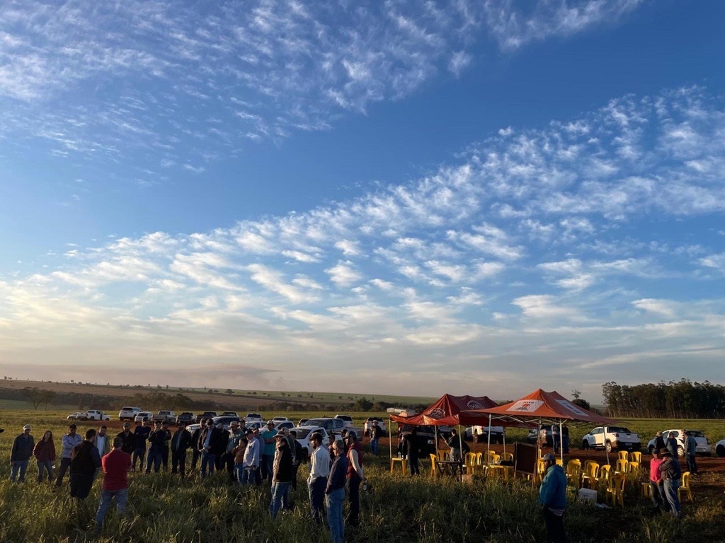 Ivinhema promove dia de campo sobre ILP