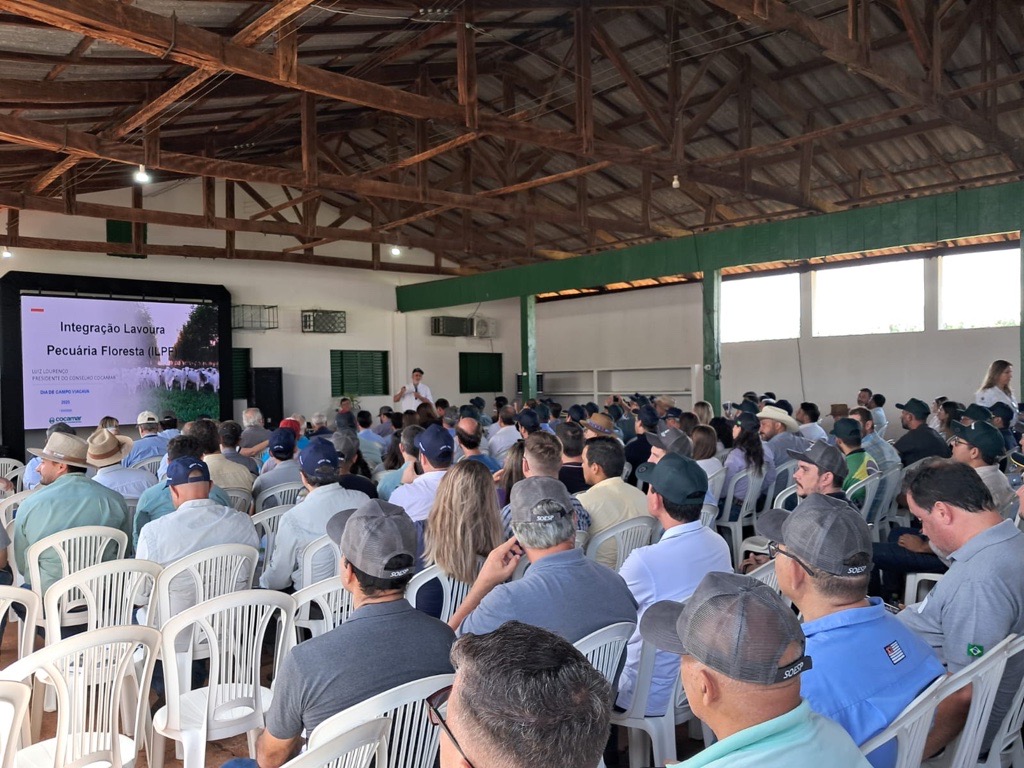 Dia de campo celebra dez anos do sistema ILPF na região oeste paulista