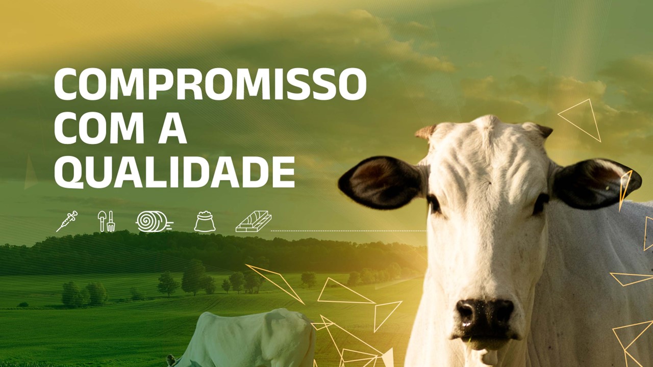 Cocamar e SRM promovem o 5º Fórum  Brasileiro de ILPF na Expoingá