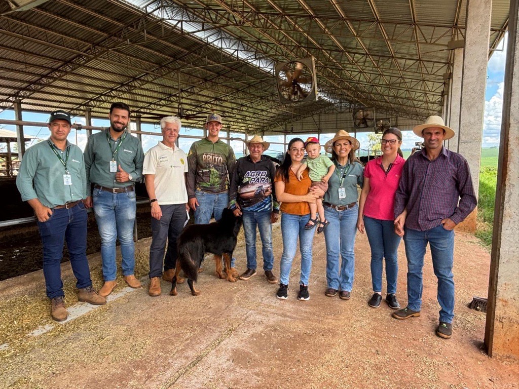 Pequena propriedade  em Pitangueiras (PR) &eacute; refer&ecirc;ncia  em produ&ccedil;&atilde;o de soja e leite