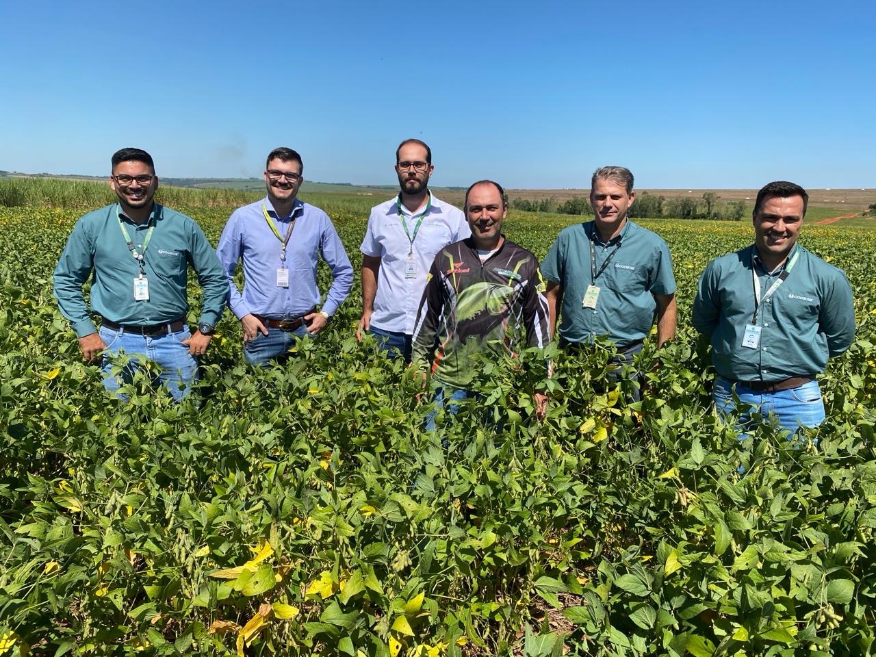 Produtor expande área com  soja na região noroeste do Paraná