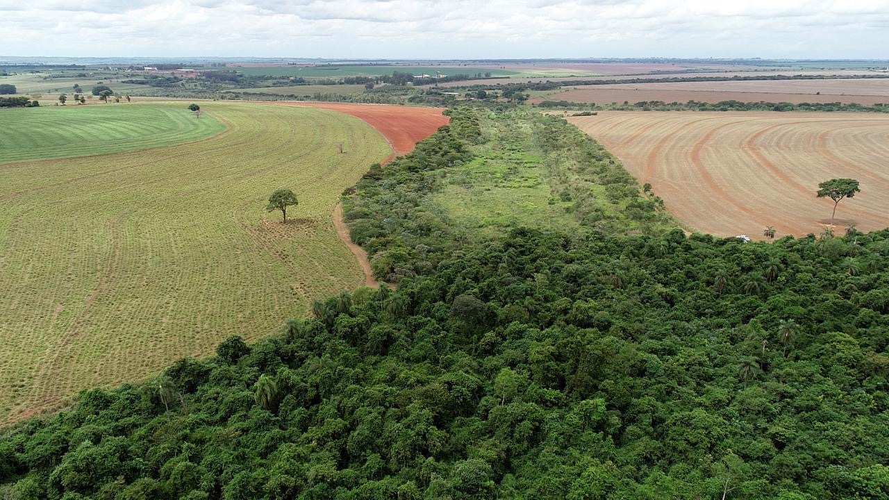 Preservação de nascentes, na Cocamar, tem a participação do programa Cultivar