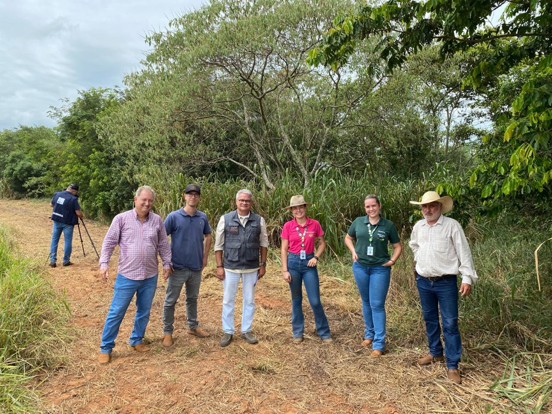 Na Fazenda Primavera, uma floresta produzida por mãos especiais 