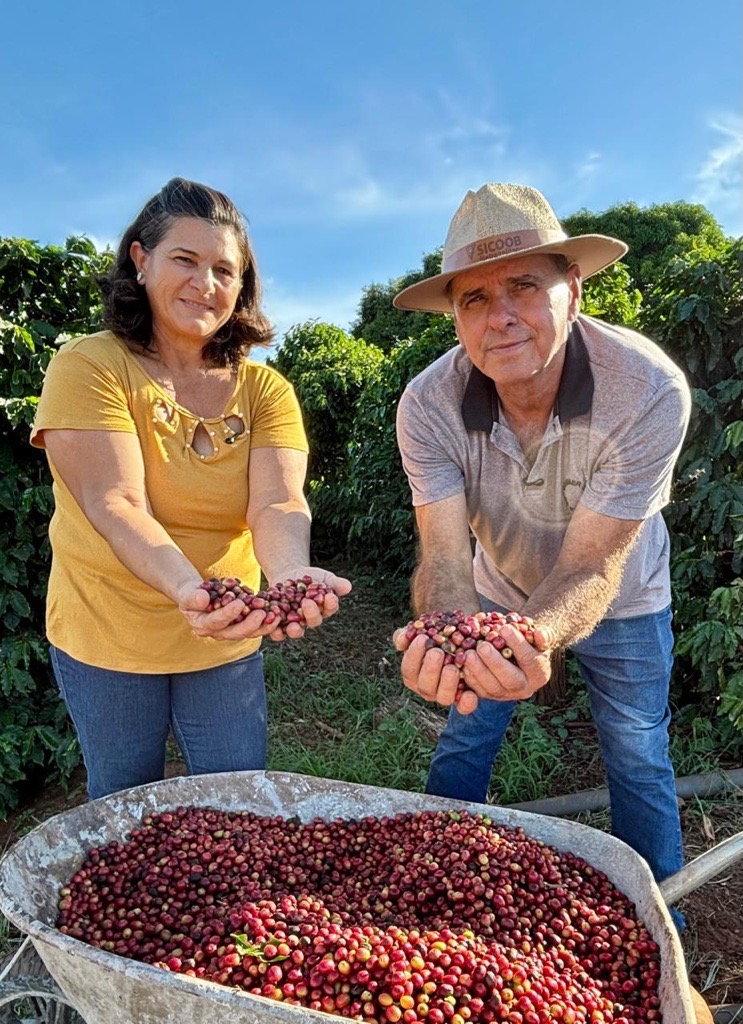 Diversificada, pequena ch&aacute;cara em Terra Boa (PR) faz o m&aacute;ximo com o m&iacute;nimo