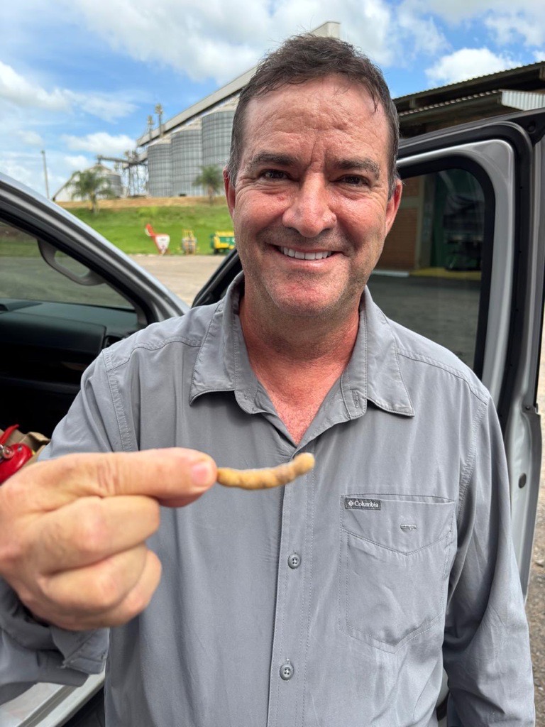 Vagens de soja com cinco gr&atilde;os, s&atilde;o comuns?