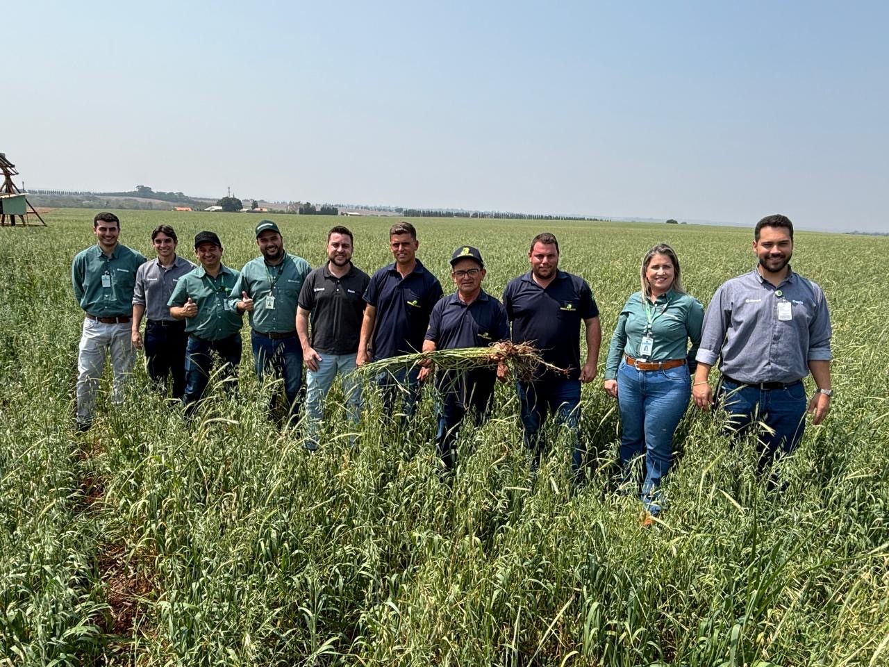 Rally Cocamar: cuidar bem do solo para buscar a estabilidade da produção 