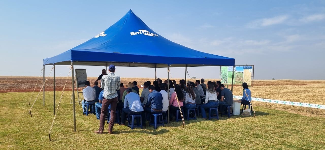 Cocamar &eacute; entusiasta do programa Soja Baixo Carbono, desenvolvido pela Embrapa Soja